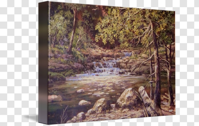 Bayou Water Resources Woodland Painting Ecosystem Transparent PNG