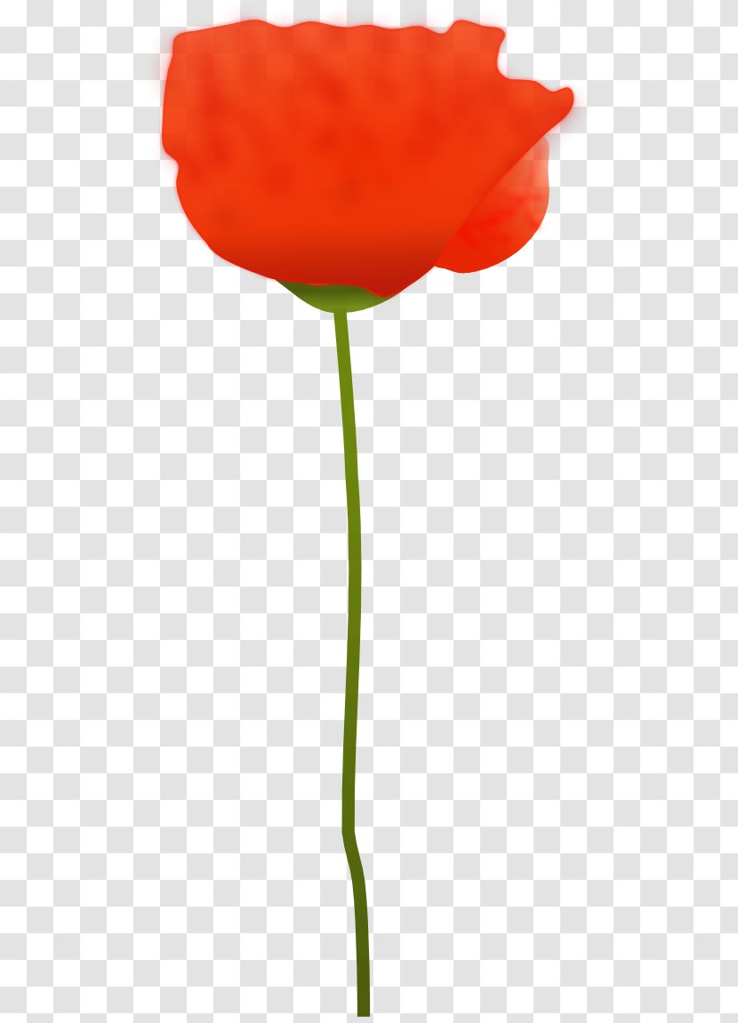 Common Poppy Remembrance Clip Art - Tulip - Flower Transparent PNG