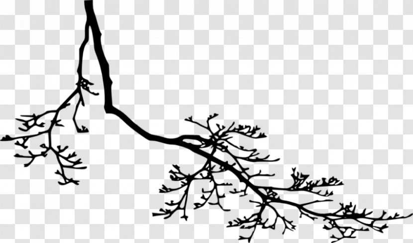 Twig Branch Black And White Clip Art - Line - Silhouette Transparent PNG