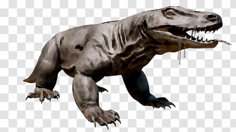 Reptile Megalania Komodo Dragon Tyrannosaurus Lizard - Snout - Monitor Transparent PNG