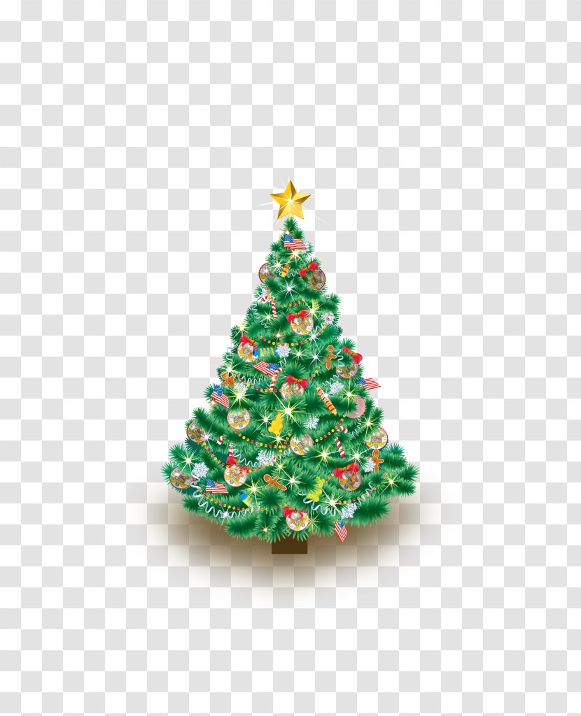 Christmas Card New Year's Day Stock Photography - Evergreen - Happy Year Transparent PNG