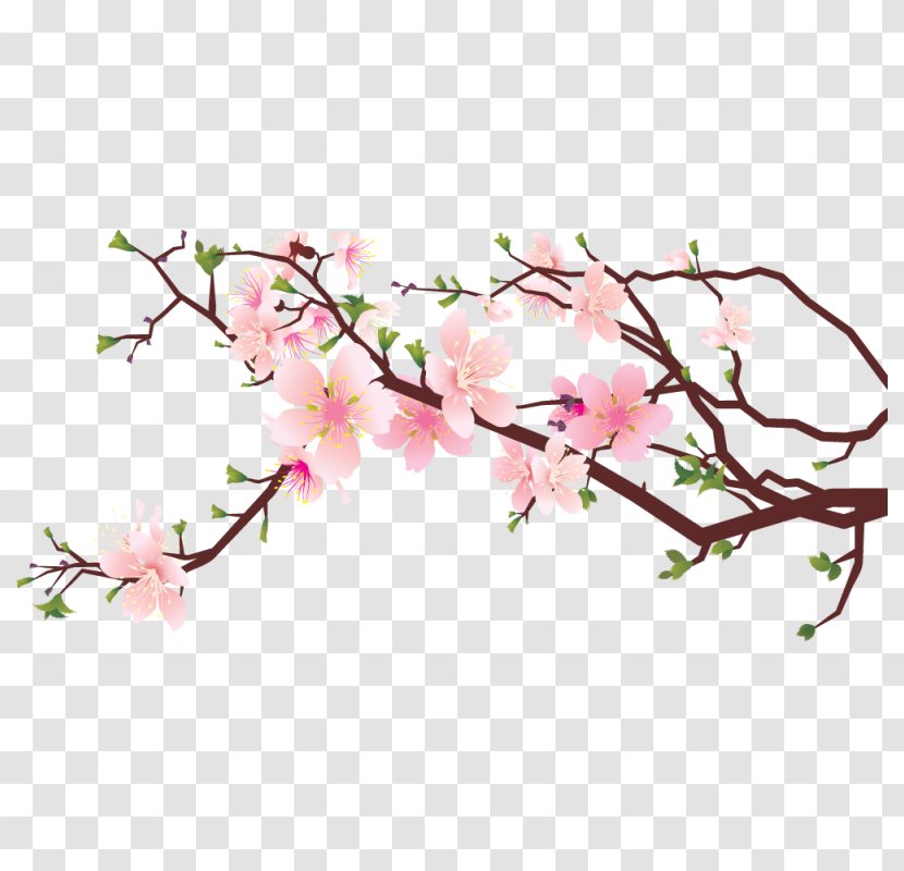 Cherry Blossom Clip Art Image Drawing Transparent PNG