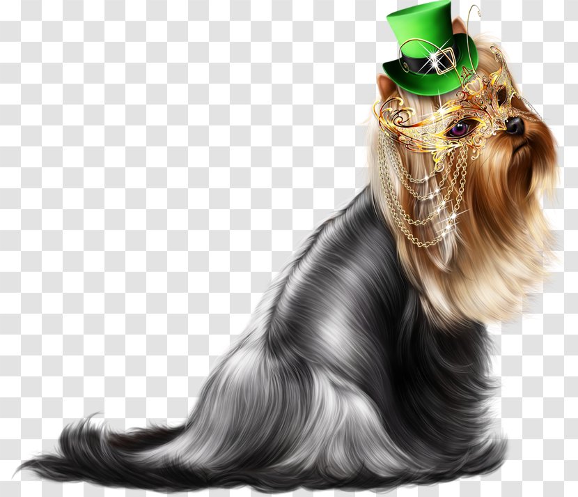 Yorkshire Terrier Biewer Pug Boston Puppy - Australian Silky - 3d Dog Transparent PNG