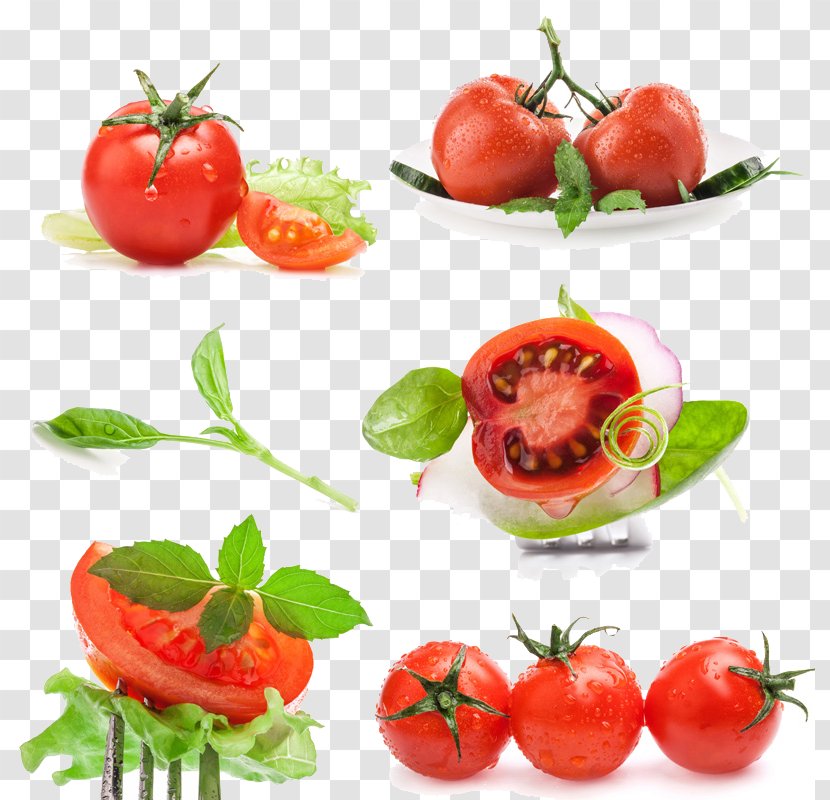 Cherry Tomato Vegetable Auglis Salad Basil - Spice - A Large Collection Of Transparent PNG