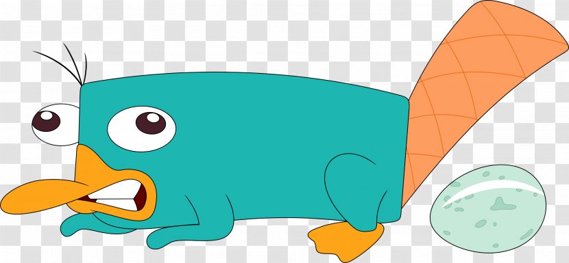 Perry the Platypus Phineas Flynn Ferb Fletcher Duck, duck, marine Mammal,  mammal png