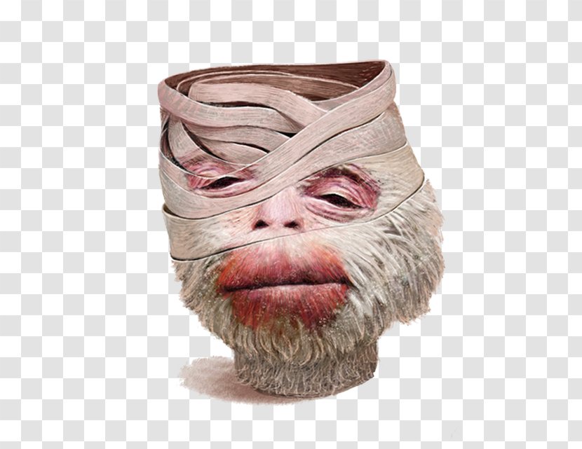 Rhesus Macaque Icon - Facial Hair - Injured Monkey Material Picture Transparent PNG
