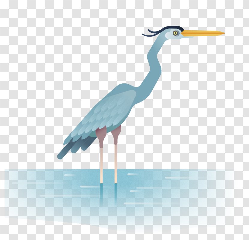 Crane Heron Bird Wader - Egret Transparent PNG