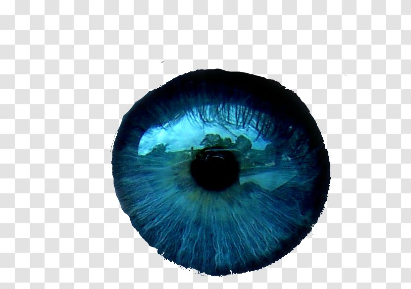 Eye Color Blue - Heart Transparent PNG