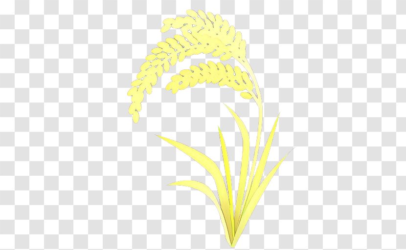Grass Background - Flower - Feather Transparent PNG