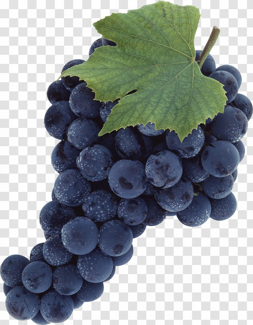 Common Grape Vine - Table - Image Transparent PNG