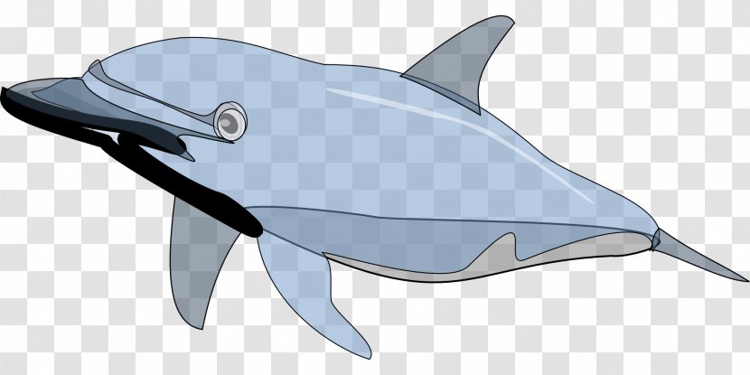 Bottlenose Dolphin Clip Art - Tail Transparent PNG