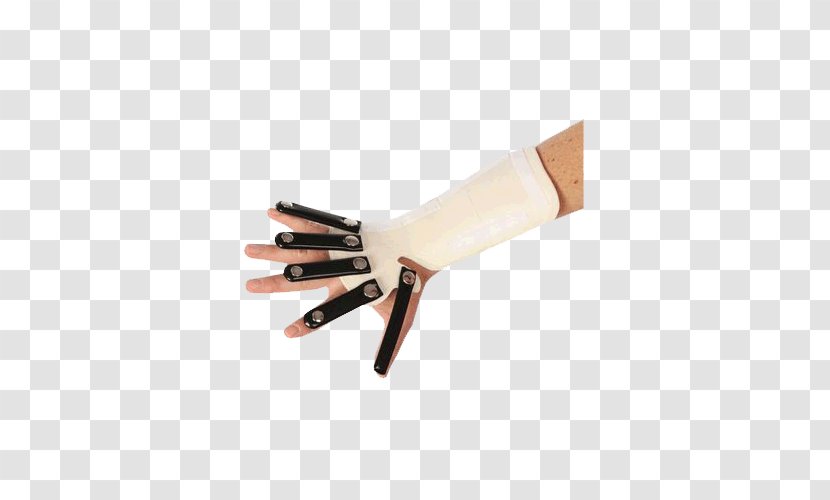 Thumb Radial Nerve Hand Artery Forearm - Safety Transparent PNG