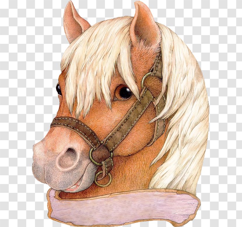 GIF Horse Image Clip Art - Tack Transparent PNG