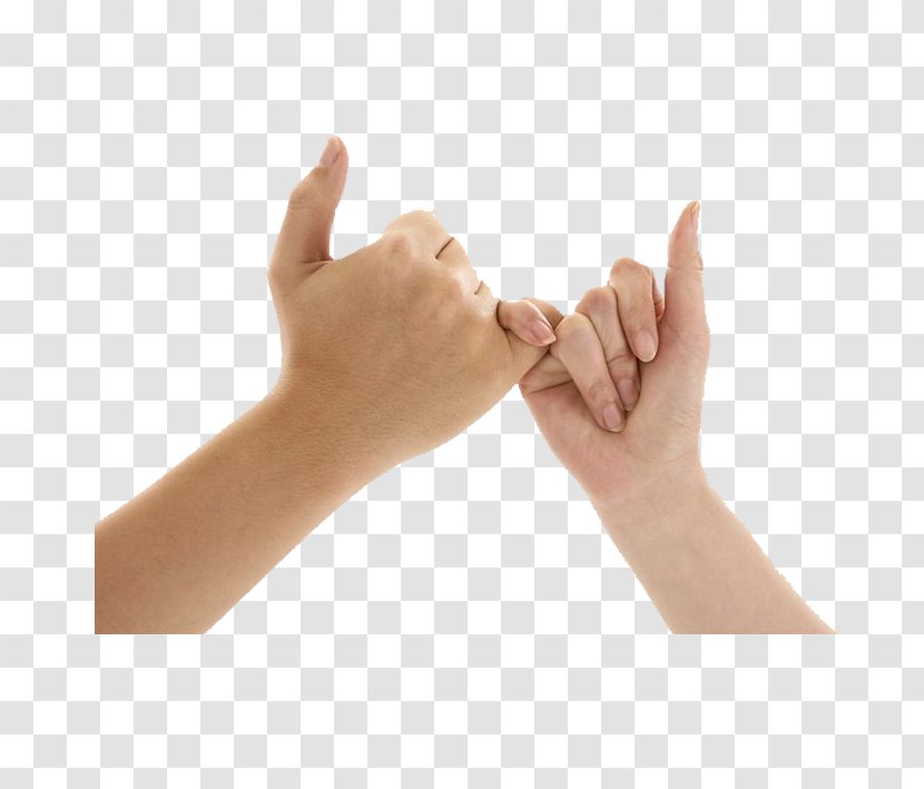 Gesture Finger Hand - Sign Language - Father And Daughter Play Little Fingers Transparent PNG