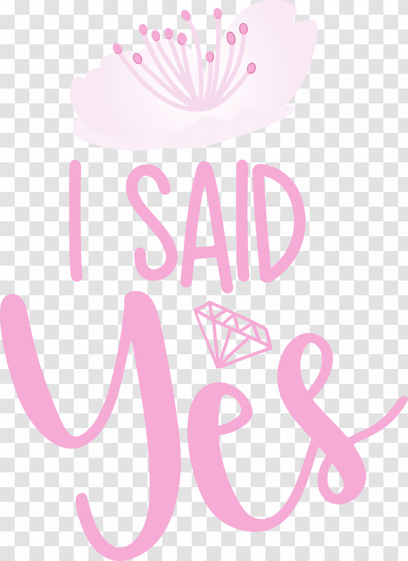 Floral Design Transparent PNG