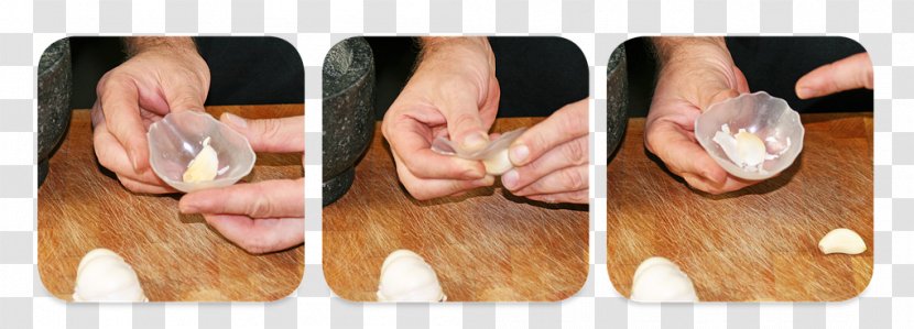 Thumb Wood /m/083vt - Garlic Clove Transparent PNG
