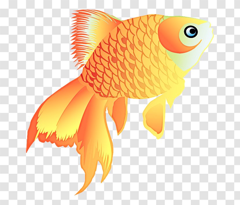Fish Cartoon - Orange - Butterflyfish Bonyfish Transparent PNG