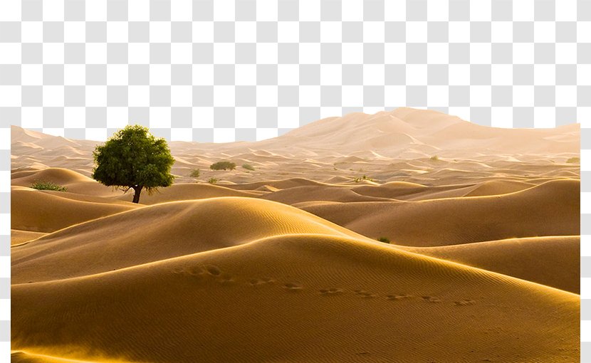 Oman Sahara Bahrain Desert Travel - Sky - Land Desertification Transparent PNG