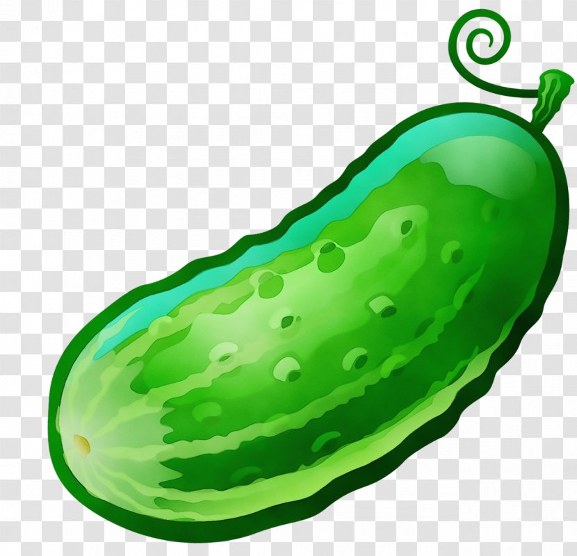 Green Cucumber Vegetable Plant Natural Foods - Paint - Legume Melon Transparent PNG