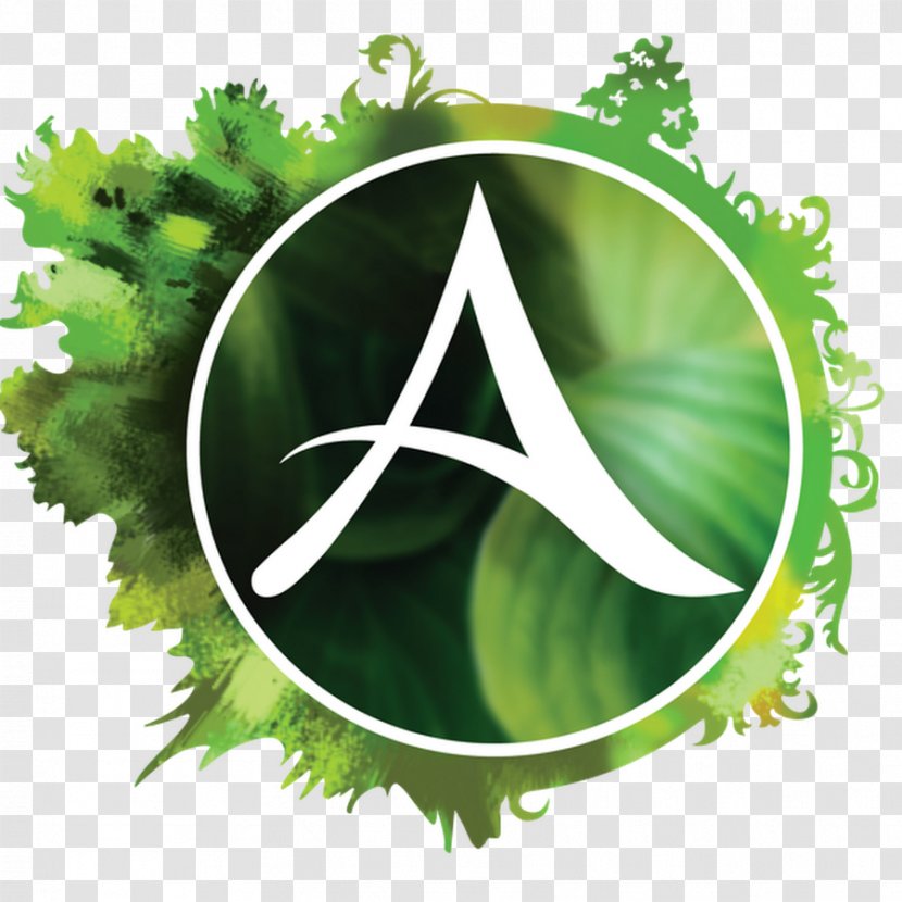 ArcheAge Massively Multiplayer Online Game Video Games - Archeage Sign Transparent PNG