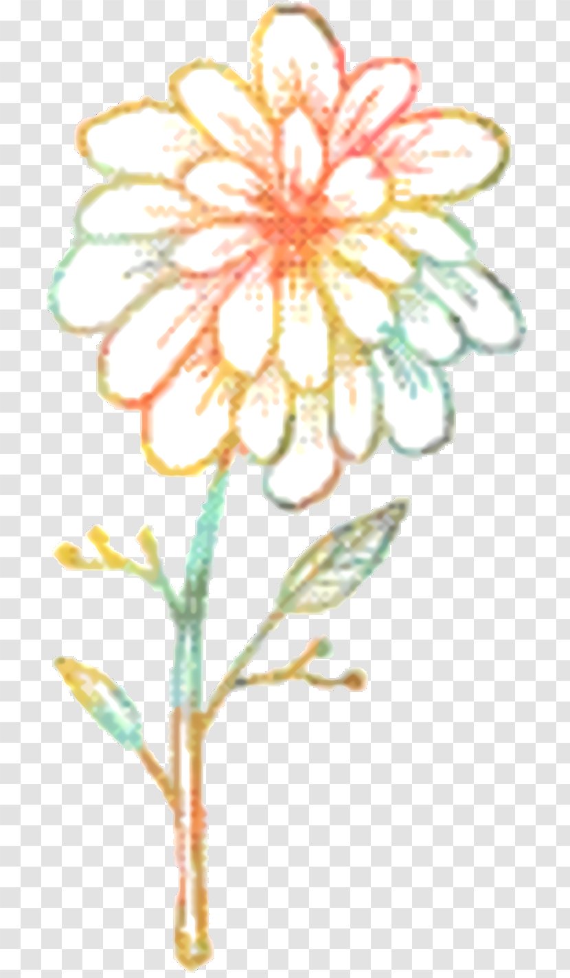 Floral Flower Background - Design - Daisy Family Tagetes Transparent PNG