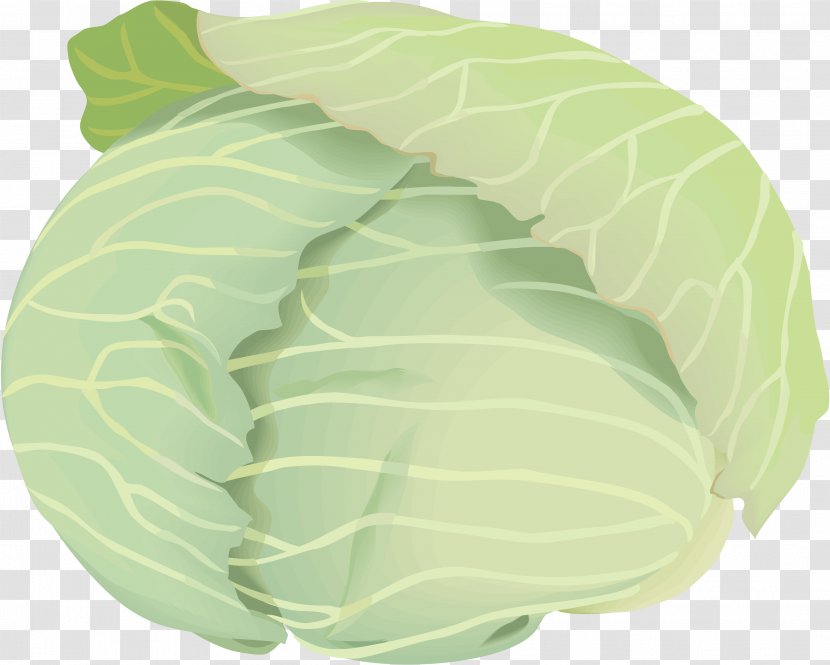 Collard Greens Cabbage Copyright-free Illustration Public Domain - Copyright Transparent PNG