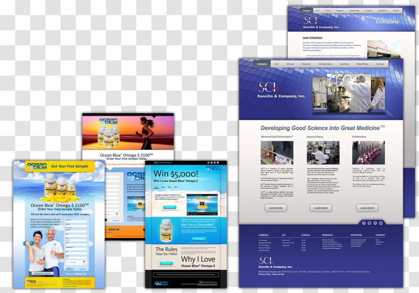 Landing Page Online Advertising Marketing Collateral - Display - Company Brochure Transparent PNG