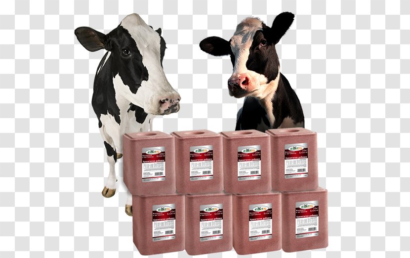 Dairy Cattle Salt Halite - Food Transparent PNG