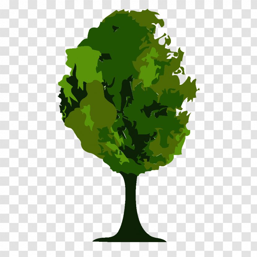 Tree - Plant - Green Transparent PNG