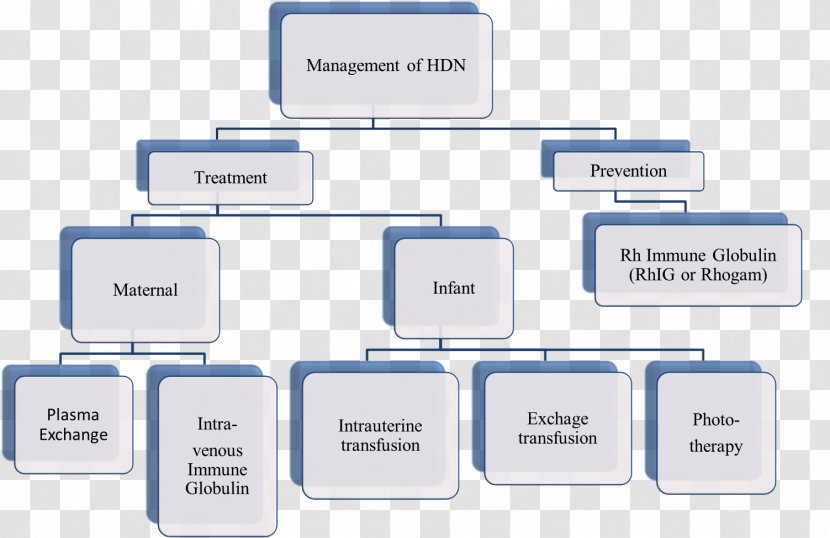 Hemolytic Disease Of The Newborn Infant Red Blood Cell Hemolysis Fetus - Text Transparent PNG