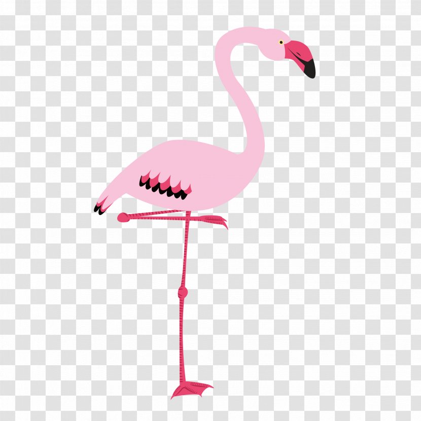 Flamingo Bird Cygnini - Pink Flamingos Pattern Free Downloads Transparent PNG