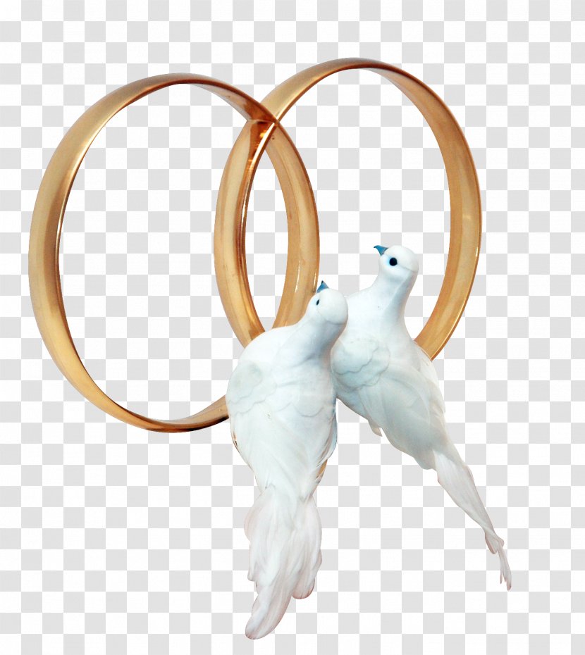 Pigeons And Doves Wedding Ring Clip Art - White Transparent PNG