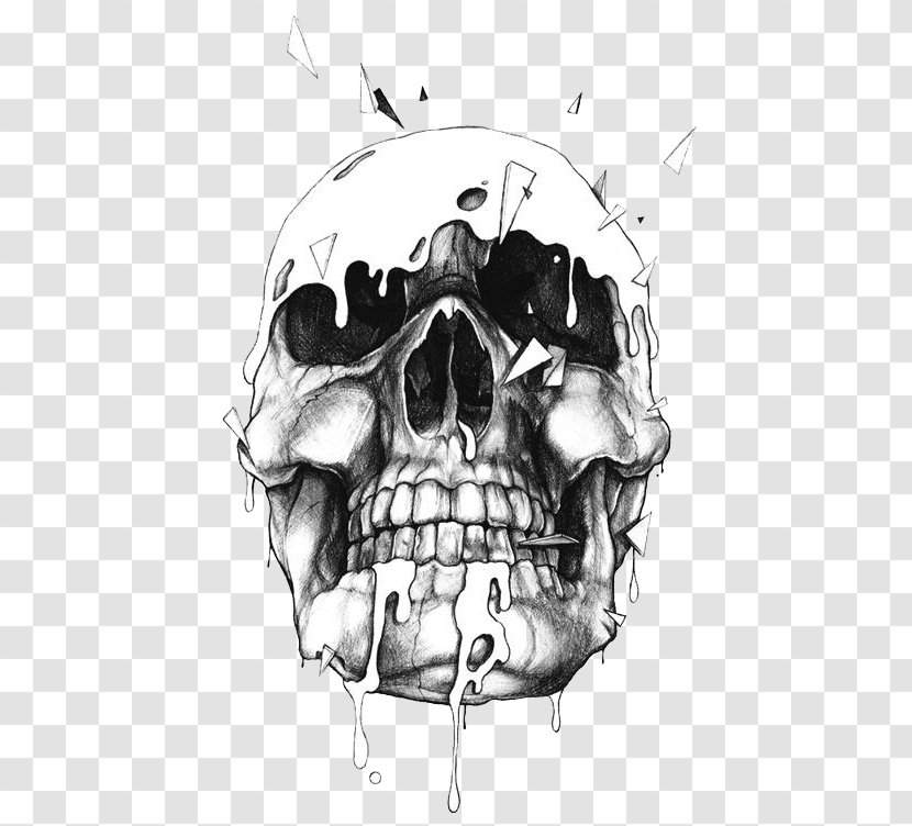 Skull Drawing Illustration - Bone - Black Transparent PNG
