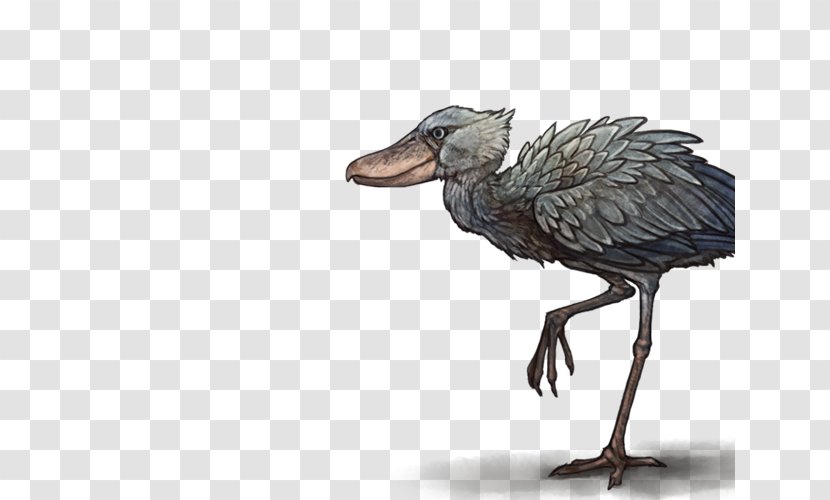 Lion Ducks, Geese And Swans Cyclopia Water Bird Keyword Tool - Wildlife - Ostrich Chick Transparent PNG