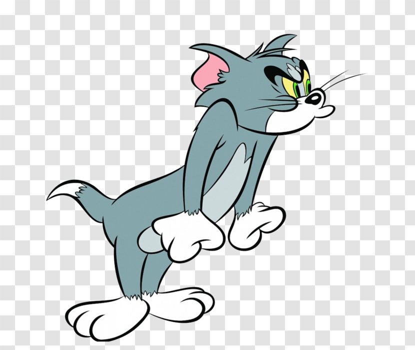 Tom Cat Jerry Mouse And Garfield - Wildlife Transparent PNG
