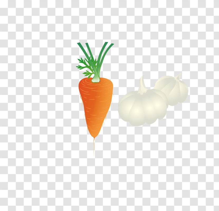 Carrot Ingredient Garlic - Carrots Ingredients Transparent PNG
