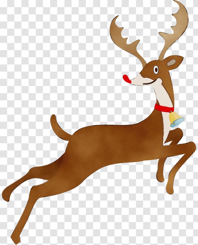 Reindeer - Wildlife - Animal Figure Transparent PNG