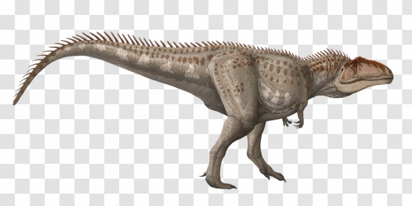 Tyrannosaurus Velociraptor Terrestrial Animal Wildlife - Fauna Transparent PNG