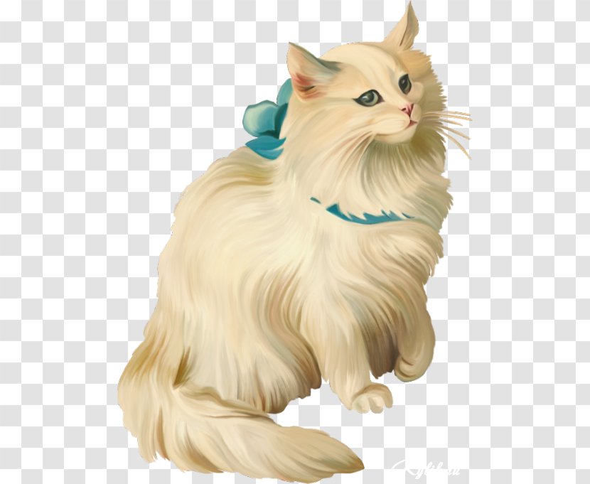 Balinese Cat Turkish Van Whiskers Maine Coon Siamese - Kitten Transparent PNG