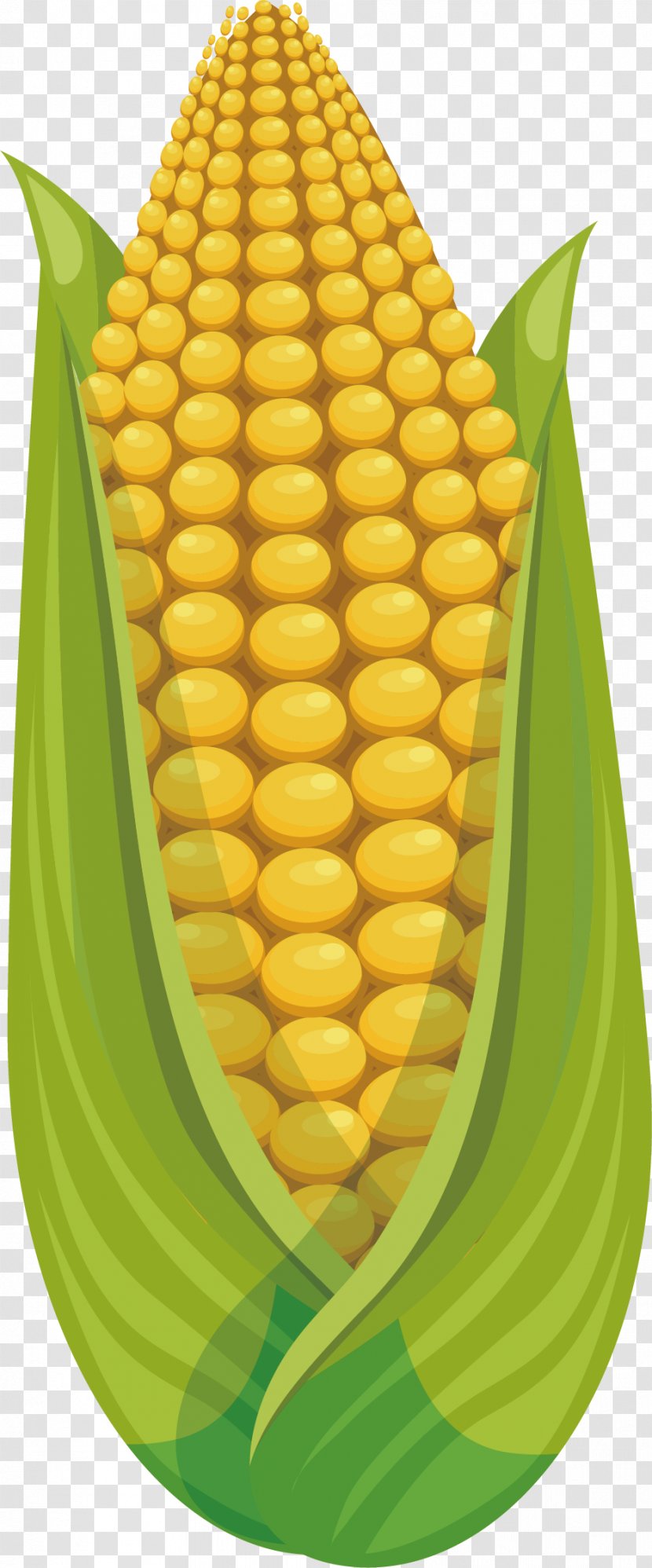 Corn On The Cob Maize Fruit Sweet - Plump Transparent PNG