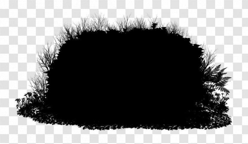 Fur Tree Black M - Headgear - Hair Transparent PNG