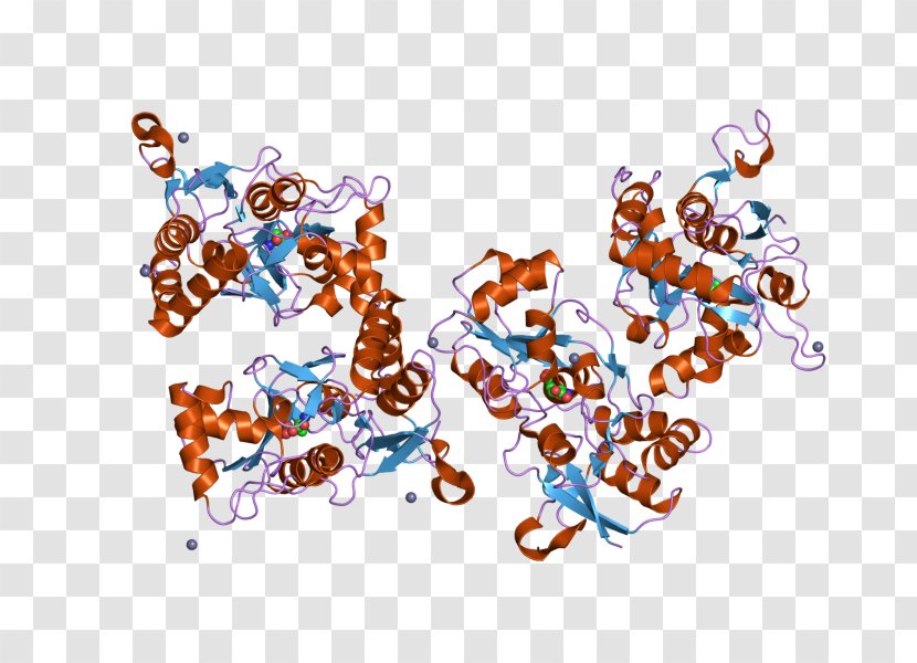 GRIA2 NOS1 Ionotropic Glutamate Receptor Nitric Oxide Synthase Ligand-gated Ion Channel - Gene Transparent PNG