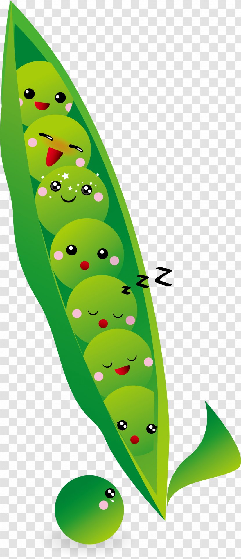 Snow Pea Leaf Cartoon - Peas Vector Transparent PNG