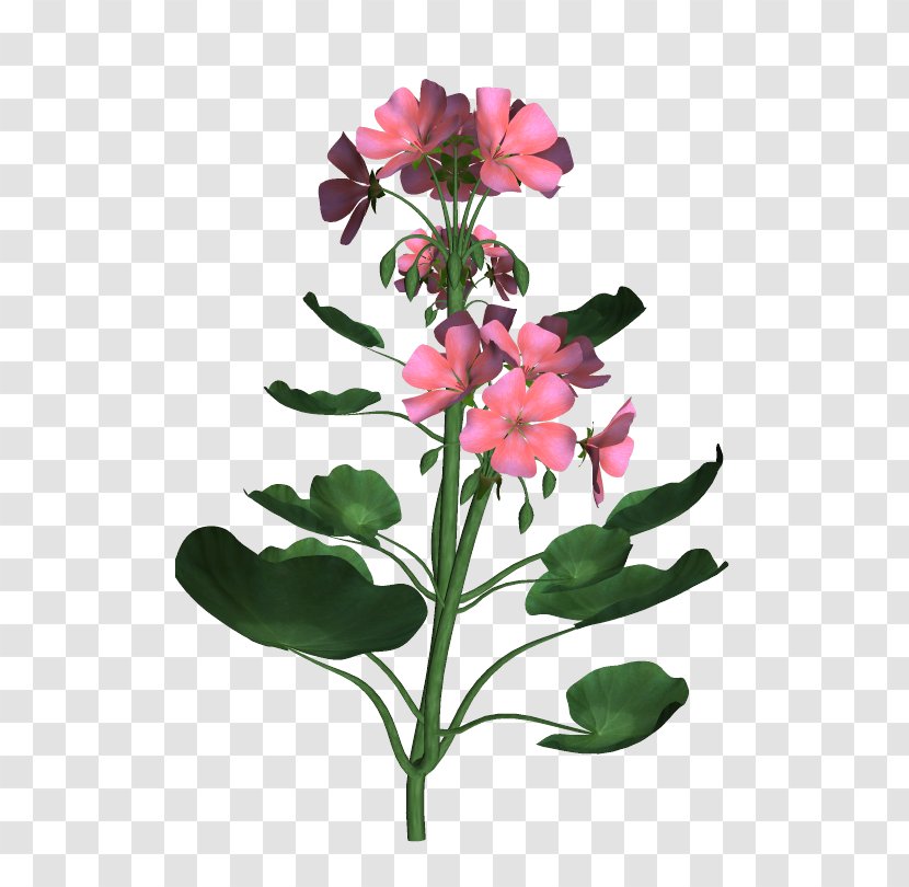 Lily Of The Incas Floral Design Cut Flowers Herbaceous Plant Stem - Flowering - 3d Transparent PNG