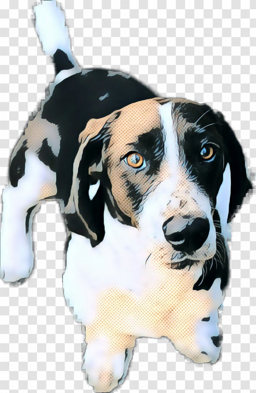 Dog Breed Treeing Walker Coonhound Black And Tan - Puppy - Carnivore Transparent PNG