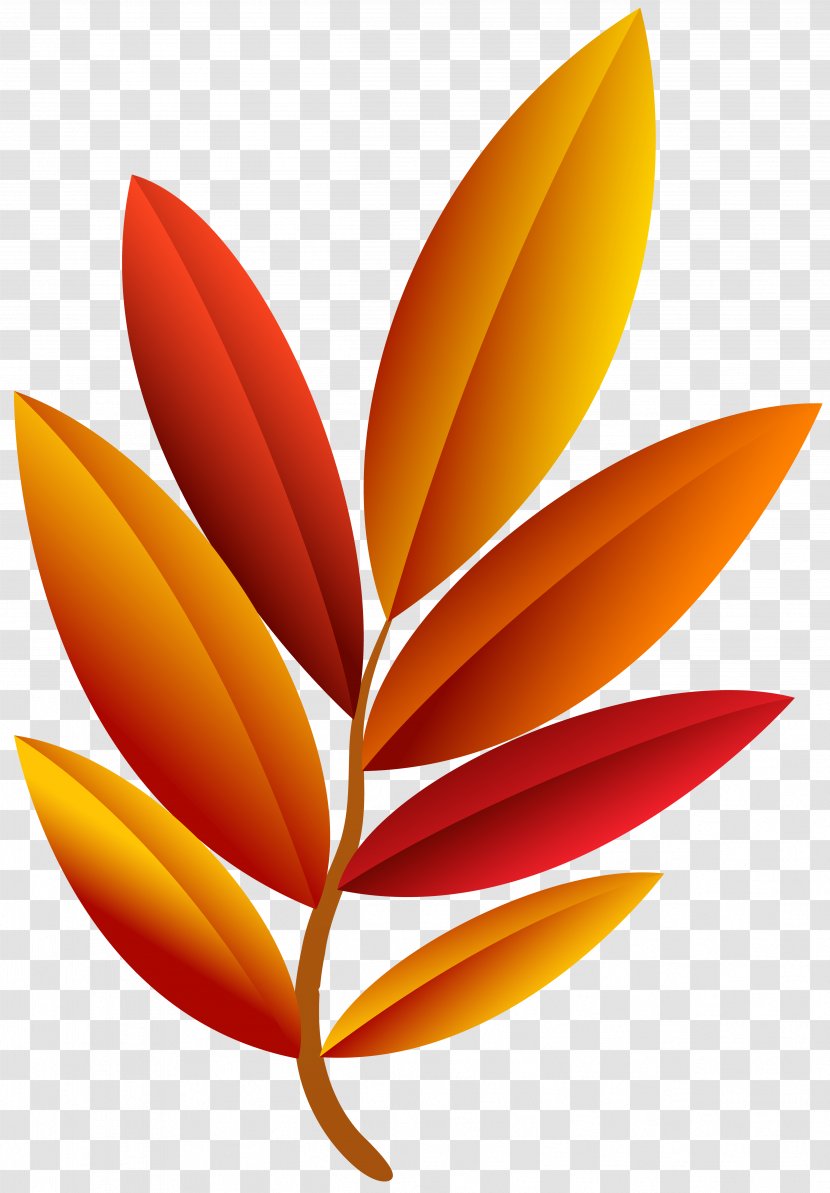 Image File Formats Lossless Compression - Tiff - Autumn Leaf Transparent PNG