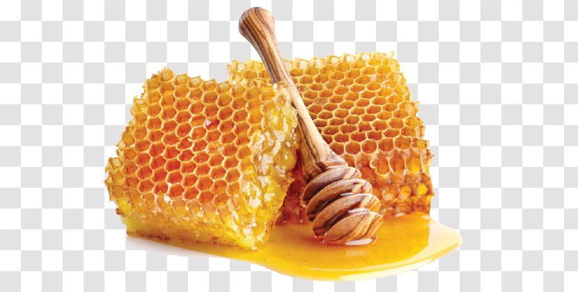 Mānuka Honey Sugar Methylglyoxal Ingredient - M%c4%81nuka - Wild Transparent PNG