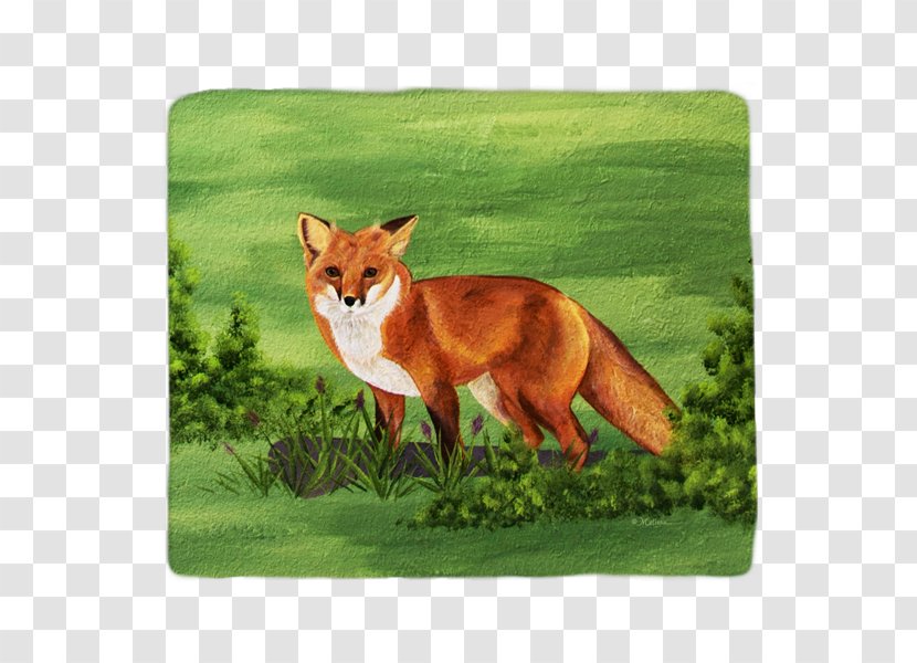 Red Fox Fauna Snout Wildlife Tail - Sly Brewery Transparent PNG