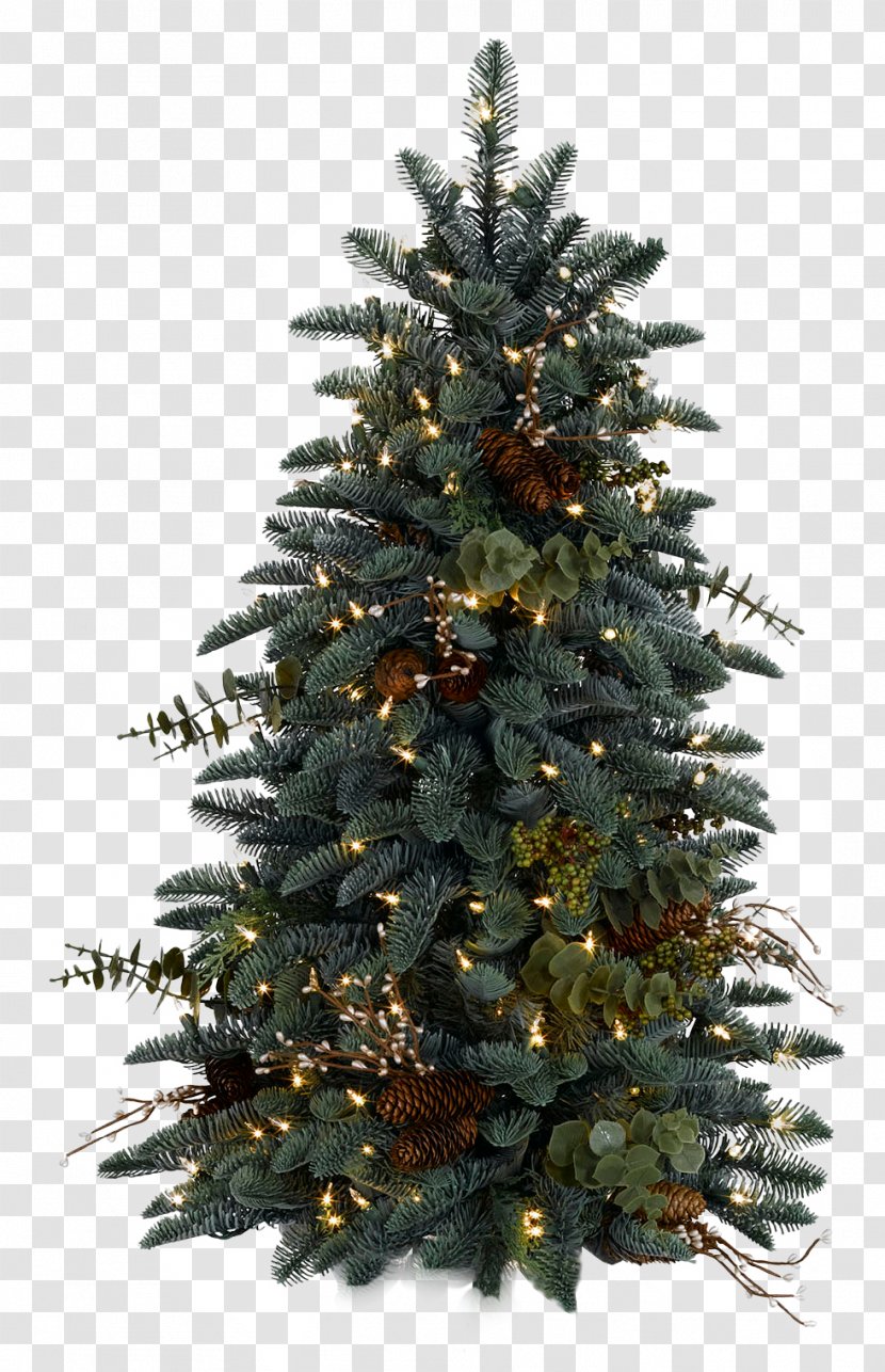 Christmas Tree Decoration Santa Claus - Pine - HD Transparent PNG