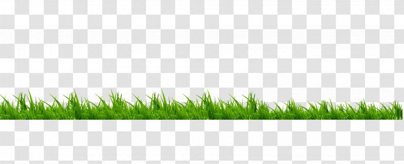 Lawn Meadow Brand Green - Grass Transparent PNG